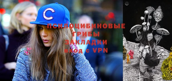 МДПВ Волоколамск