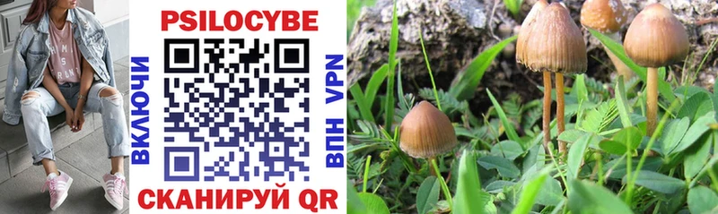 гидра как войти площадка Telegram Галлюциногенные грибы Psilocybine cubensis Орехово-Зуево